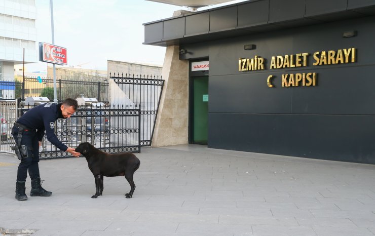 "Fethi Sekin'in kahramanlığı unutulmaz"