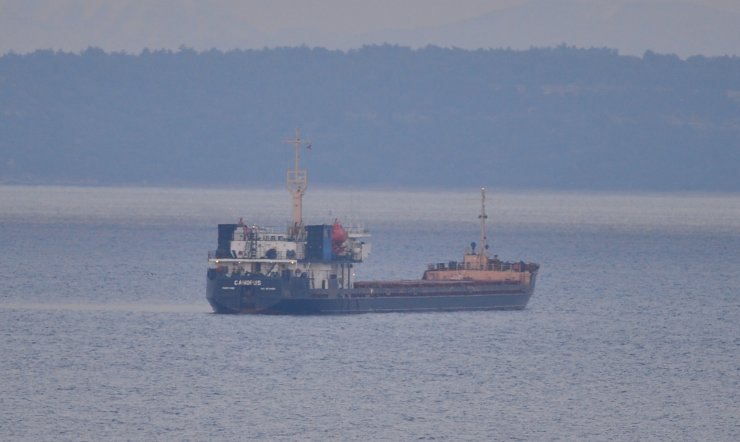 Gemi kaptanının kamarasında ölü bulunması