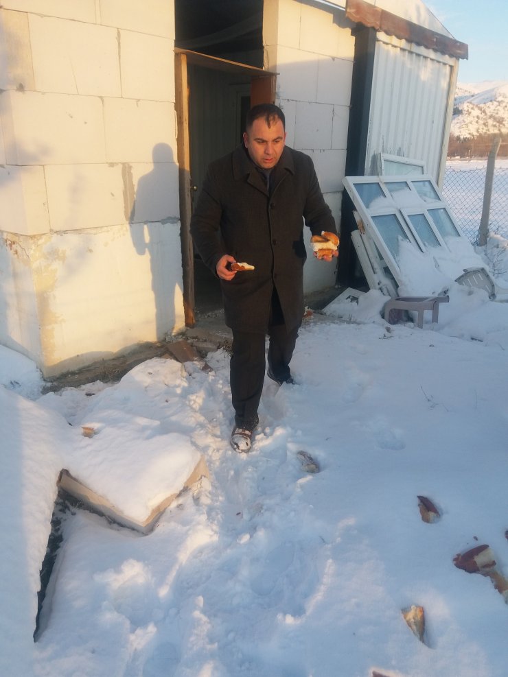 Bahşili Belediyesi sokak köpeğine ve yavrularına sahip çıktı