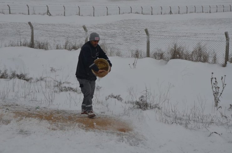 Karapınar'da doğaya yem bırakılıyor