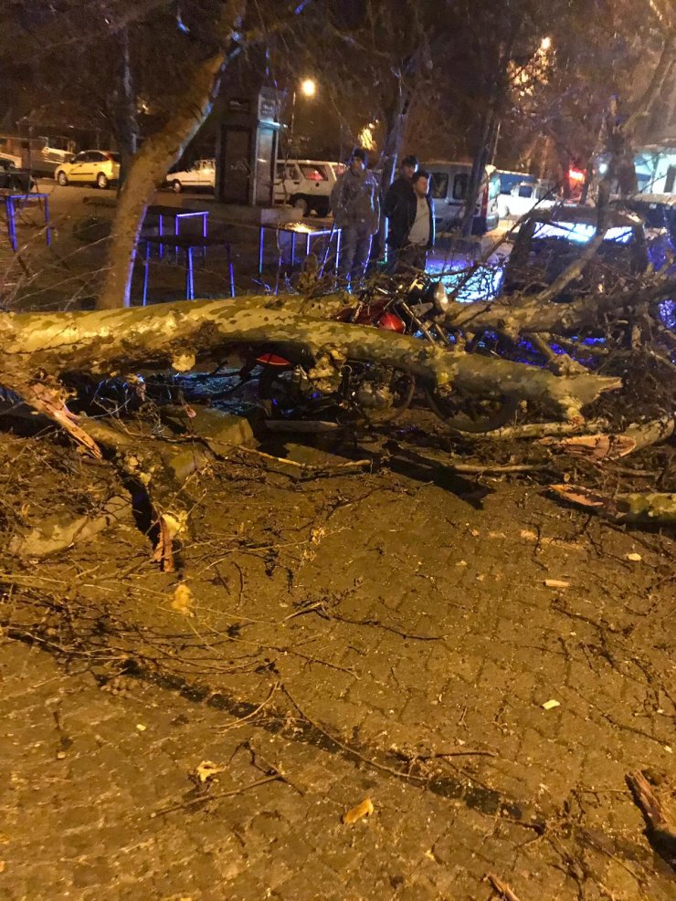 Kuzey Ege'de kuvvetli fırtına