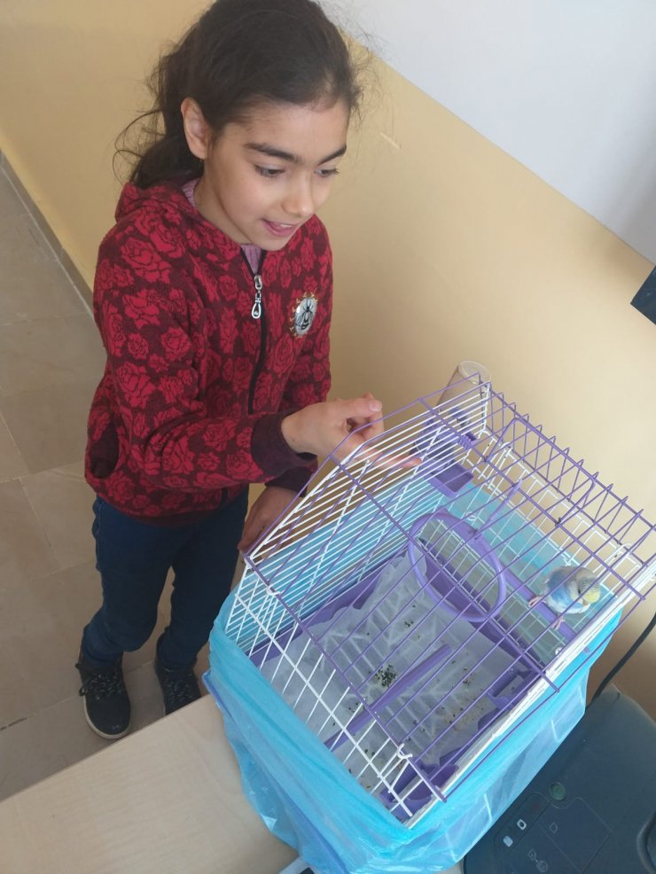 Ulaş'ta özel eğitim öğrencilerine hayvan sevgisi aşılanıyor