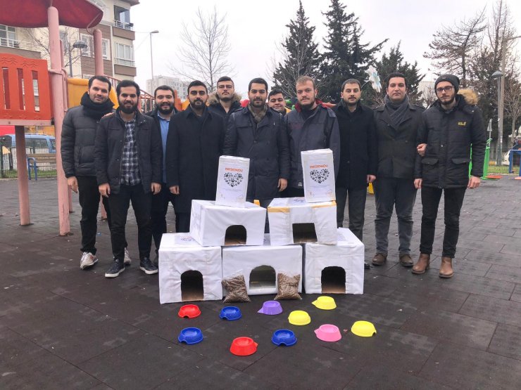 AK Partili gençler kedi evi dağıttı