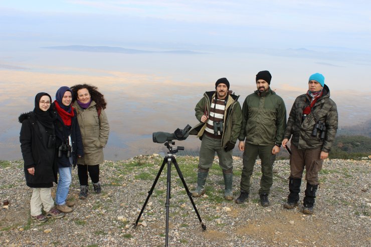 Uluabat Gölü'nde su kuşu popülasyonu arttı