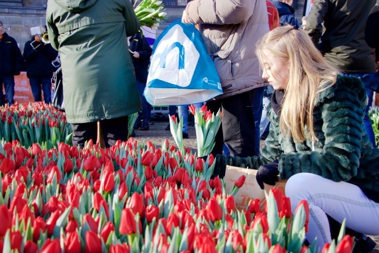 Hollanda'da "Ulusal Lale Günü" etkinliği