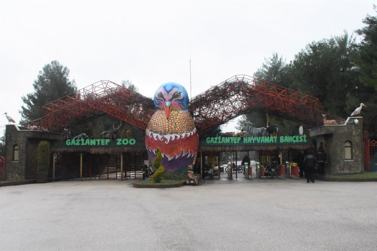 Ziyaretçi rekoru "Tropik kelebek bahçesi" ile kırılacak