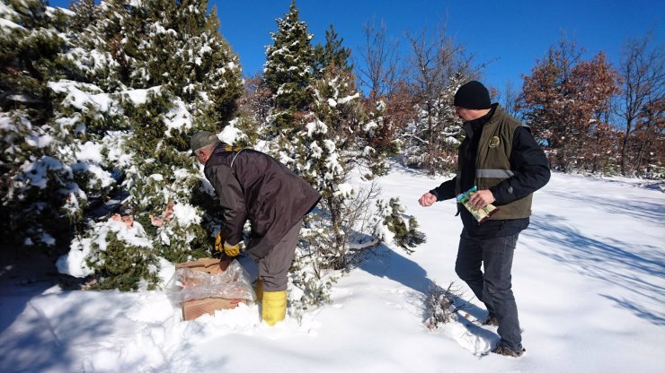 Beyşehir'de yaban hayvanlarına yem desteği