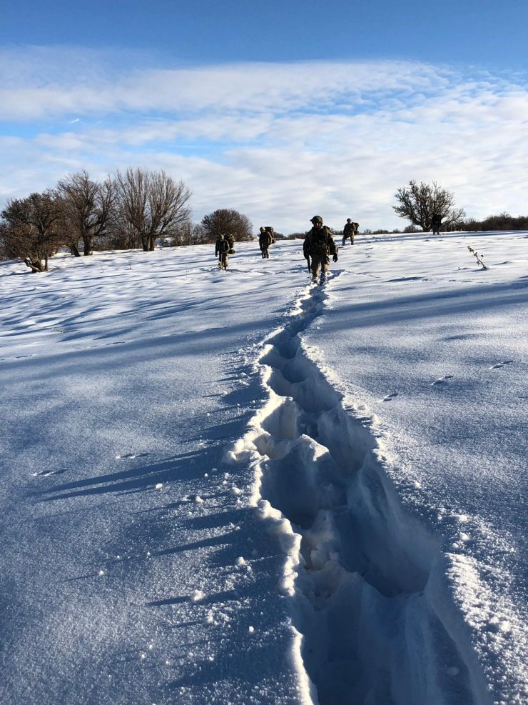 Şırnak'ta terör operasyonu