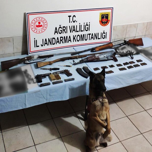 "Dağ" teröre geçit vermedi