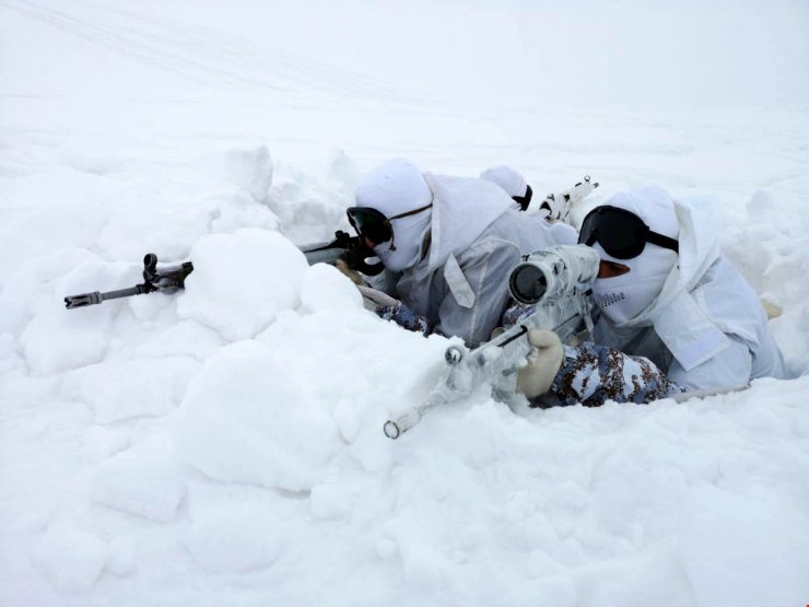 Muş'ta terör operasyonu