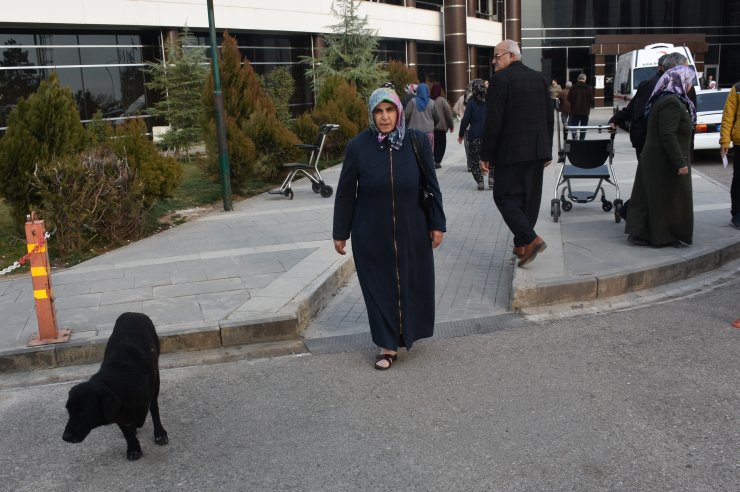 Güvenlik görevlilerinin sahiplendiği "Karakız" hastanenin maskotu oldu