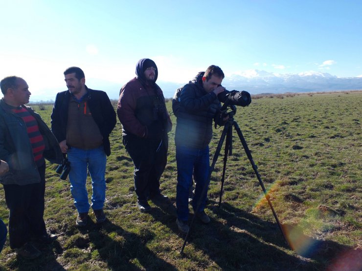 Konya'da sulak alanlardaki su kuşu sayımları tamamlandı