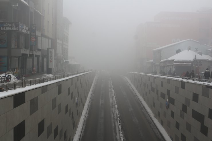 Ağrı ve Kars'ta hava ulaşımına sis engeli