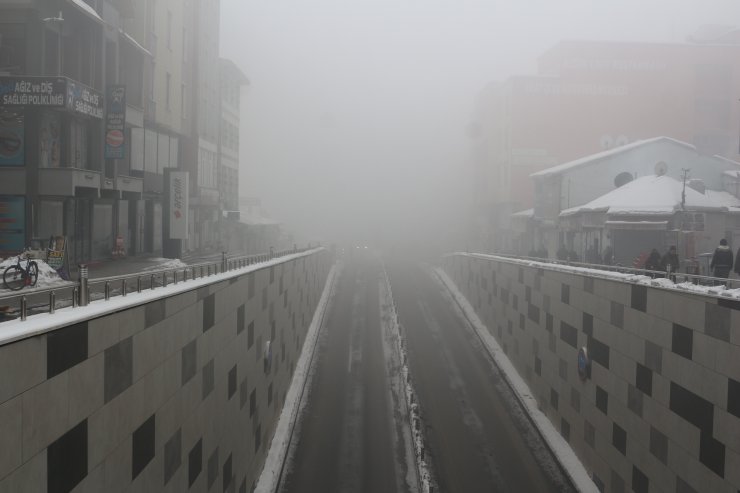 Ağrı ve Kars'ta hava ulaşımına sis engeli