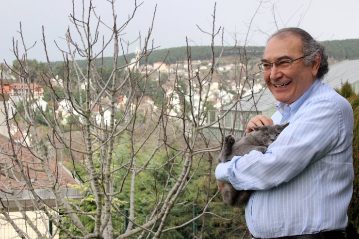 "Kedi, sevginin kokusuyla sahibine bağlanıyor"