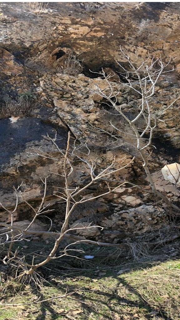 Şırnak'ta terör operasyonu