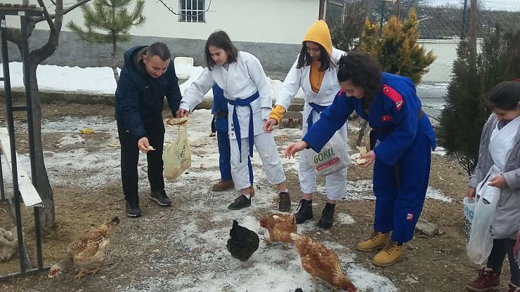 Çubuk'ta öğrenciler atıklarla tavuk besliyor