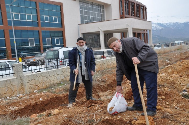 Taburcu olduğu hastanenin çevresine badem ekti