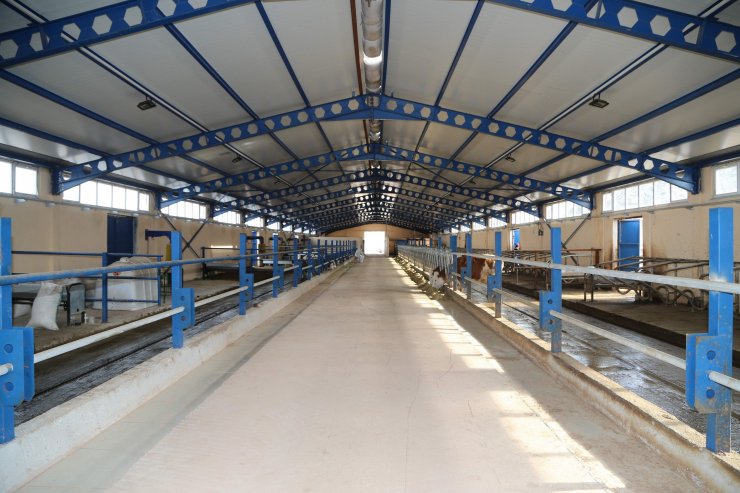 "TKDK ile çiftçinin yüzü gülüyor"