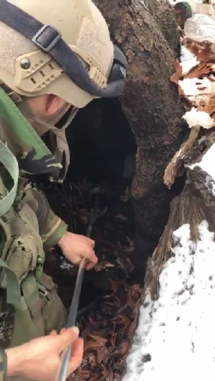 Ağaç kovuğunda teröristlere ait silah ve mühimmat bulundu