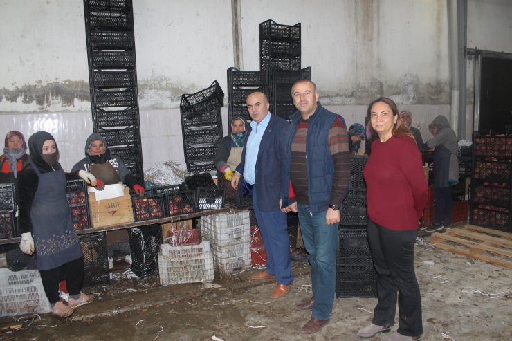 8 Mart Dünya Kadınlar Günü