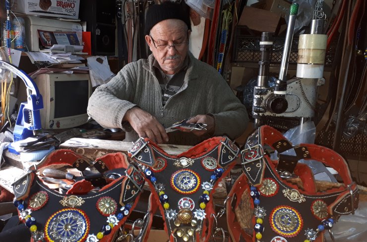 Köpek tasmaları Amerika ve İngiltere yolunda