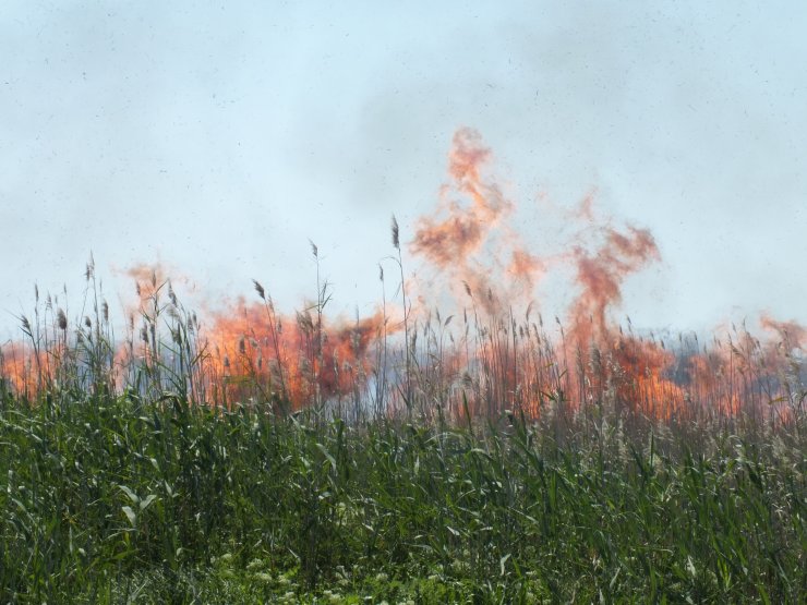 GÜNCELLEME - Göksu Deltası'nda yangın