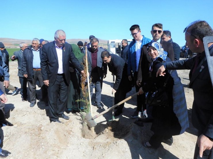 Tatık köyünde şehitler için hatıra ormanı