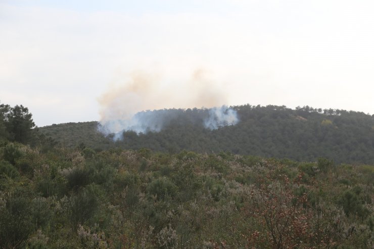 GÜNCELLEME- İstanbul'da orman yangını