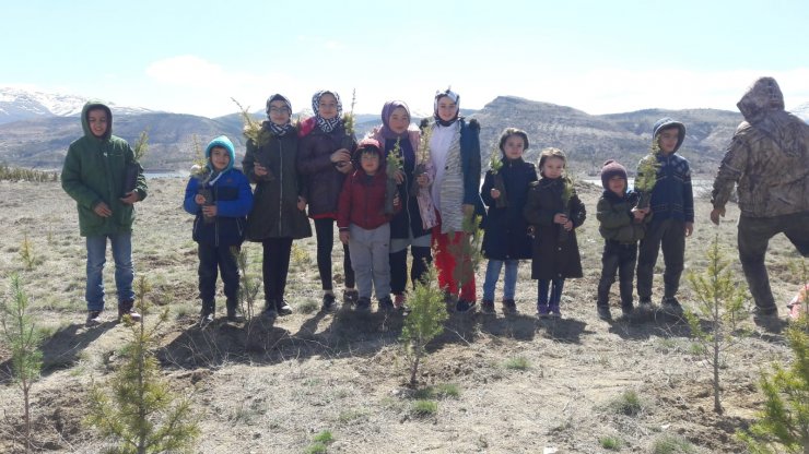 Amatör balıkçılar sedir fidanlarını toprakla buluşturdu