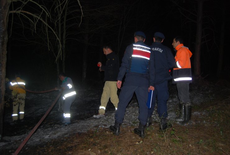 Tekirdağ'da orman yangını