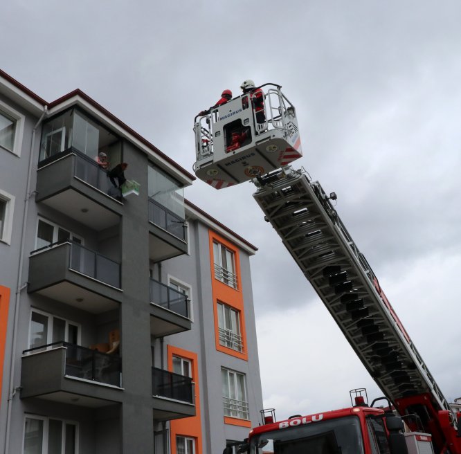 Kaçan papağanı itfaiye yakaladı