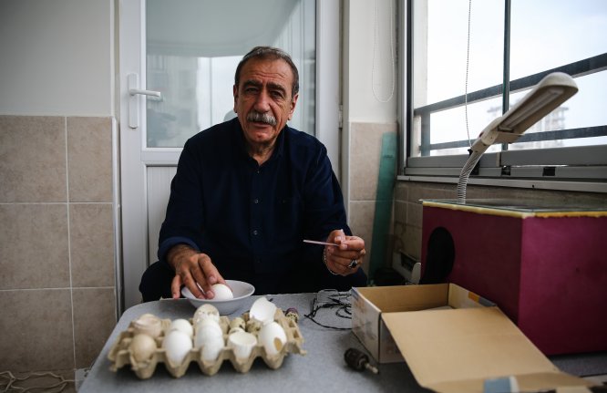 GÜNCELLEME - Çaldığı iddia edilen aracın yakınında ölü bulundu