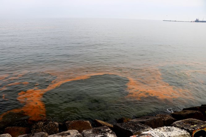 Planktonların çoğalmasıyla Marmara Denizi turuncuya büründü