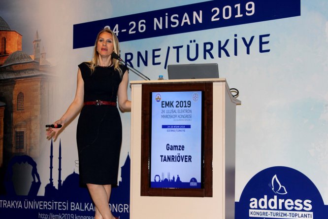 "Erkek beyni kutucuklardan kadın beyni alanlardan oluşuyor"