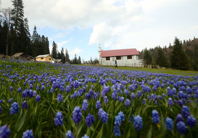 Batı Karadeniz yaylalarında iki mevsim güzelliği