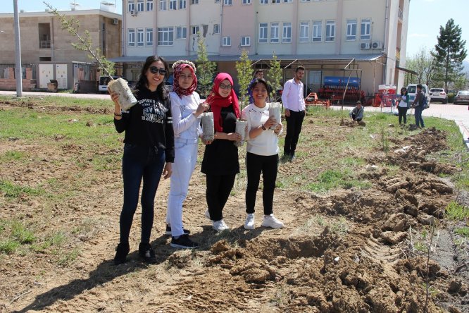 Yalıhüyük Anadolu Lisesi öğrencileri ağaç dikti