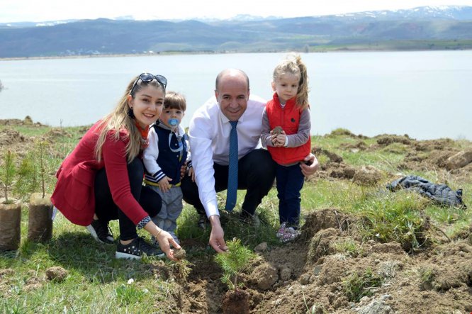 Gölova'da "Bir ağaç da sen dik" kampanyası
