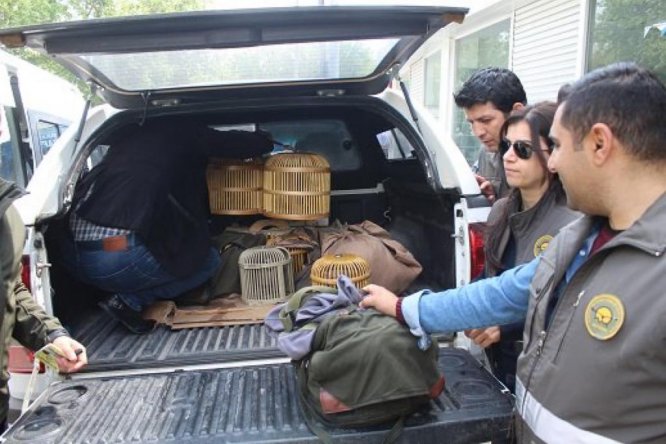 Kaçak avladıkları keklikleri satmaya çalıştılar