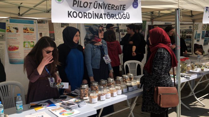 Pilot üniversite projeleri halka tanıtıldı