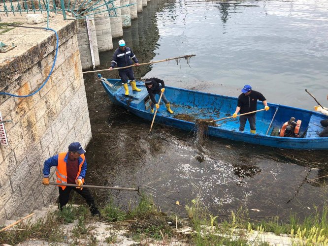 Beyşehir Gölü'nde sahil temizliği