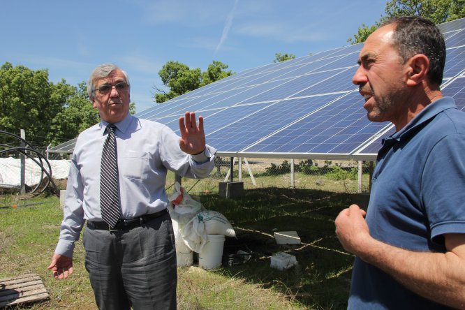 Tarım ve Orman İl Müdür Yardımcısı Ali Yalçın'ın incelemeleri