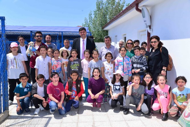 Harçlıklarıyla hayvanlara mama aldılar