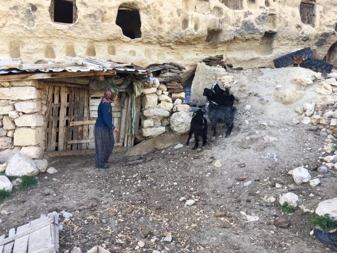 Kayıp küçükbaş hayvanları jandarma buldu