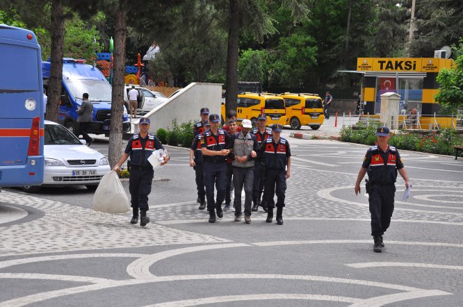 Akşehir'de 150 kök Hint keneviri ele geçirildi