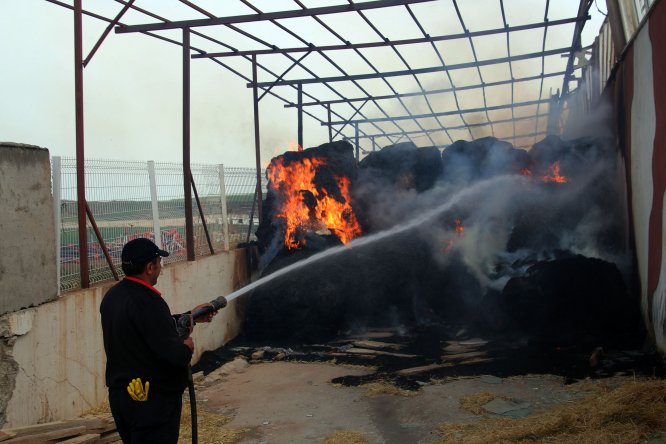 Şarkışla'da besi çiftliğinde yangın