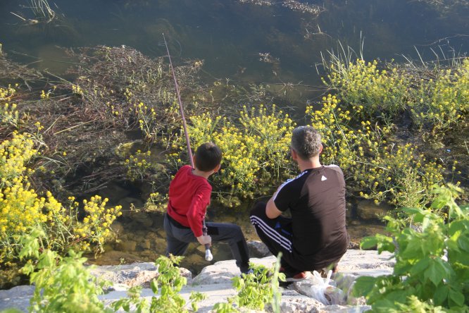 Beyşehir Gölü kıyıları olta meraklılarının ilgi odağı oldu