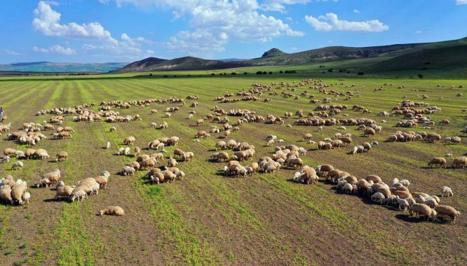 Vali Salih Ayhan, Ulaş ilçesini ziyaret etti