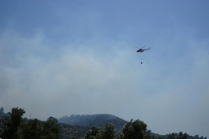 Balıkesir'de orman yangını