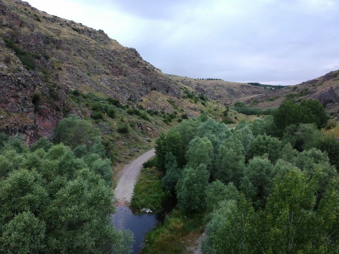 Emekli oldu kendini fidan dikmeye adadı
